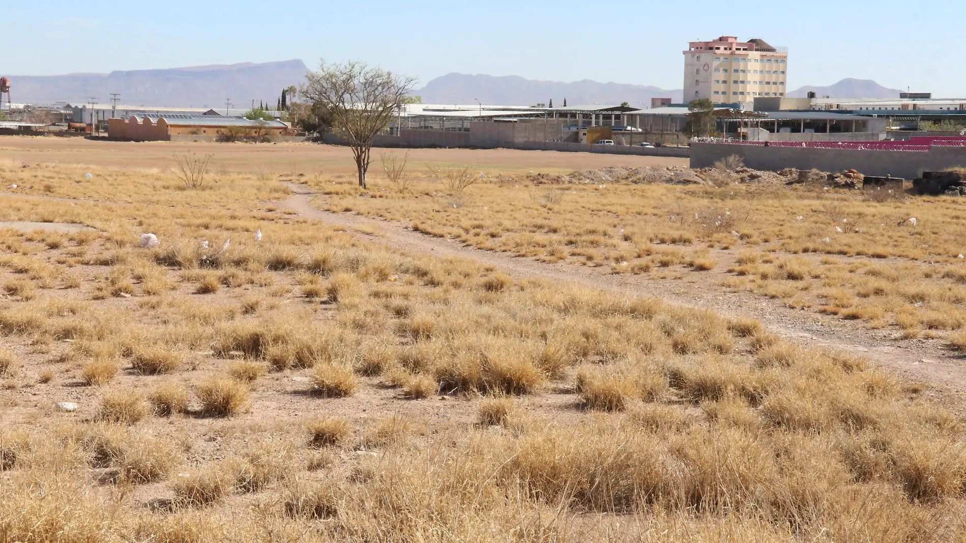 GERA- Terreno albergue para niños con cancer  (2)